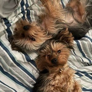 Meet your Posher, Maria